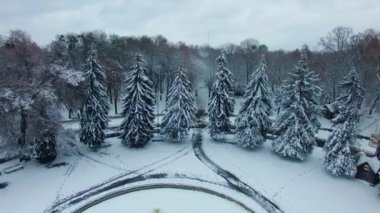 Meydanı kaplayan karla kaplı güzel yüksek köknar ağaçları. Şehir parkında kış. Hava görünümü.
