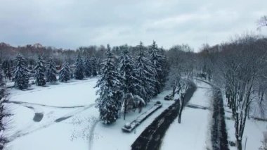 Ağaçlar ve köknar ağaçlarıyla dolu şehir parkında kış. Meydanın üzerinde yükselen insansız hava aracı. Üst görünüm.