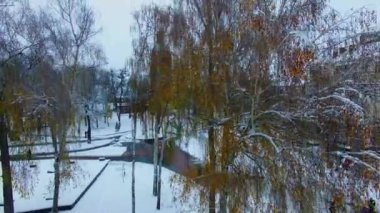 Şehir parkında çıplak huş ağaçları. İnsansız hava aracı meydanda yükseliyor. Vinnytsia, Ukrayna 'daki güzel eski kuleyi gösteriyor..