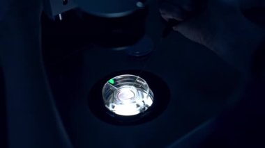 Laboratuvarda tüp bebek uzmanı. Sıhhiye karanlık odada tüp bebek için mikroskop kullanıyor..