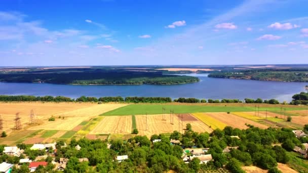 Stunning View Wheat Fields River Forests Sunny Summer Day Beautiful — Stock Video
