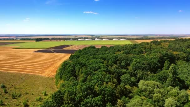 Zbor Drone Peste Pădurile Verzi Câmpurile Către Rezervoarele Plantei Biogaz — Videoclip de stoc