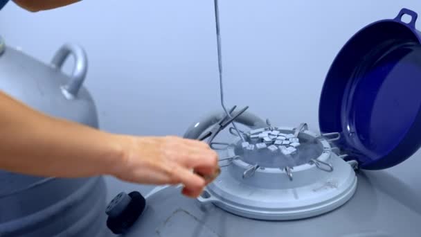 Sanitäter Öffnen Das Reservoir Mit Eingefrorenen Proben Für Ivf Verfahren — Stockvideo