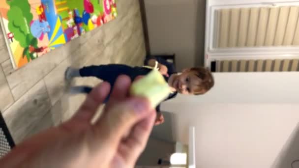 Parent Hand Holding Piece Banana Cute Kid Comes Takes Bite — Stock Video