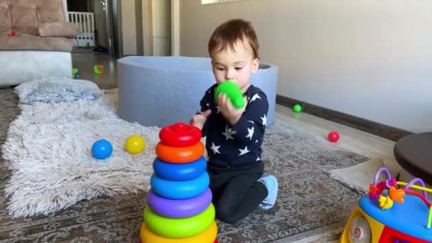 Mały Chłopiec Bawi Się Piramidą Zabawek Podłodze Domu Dzieciak Ciągnie — Wideo stockowe