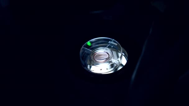 Embryoöverföring Sjukhuset För Reproduktiv Hälsa Petriskål Med Lång Pipett Mikroskop — Stockvideo