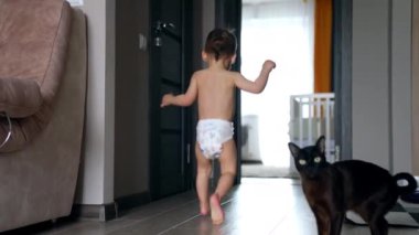 Evin etrafında koşan bebek bezi takmış bir çocuğun arka görüntüsü. Kara kedi kameraya bakar ve bir bebeği takip eder..