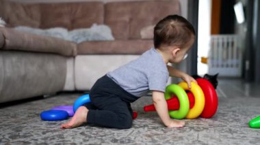 Bebek halının üzerinde parlak oyuncak piramidiyle oynuyor. Çocuk oyuncağı parçalara ayırıyor ve tekrar inşa ediyor. Kara kedi yanında oturuyor..