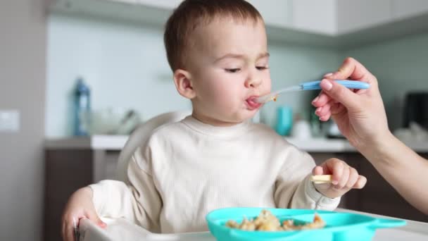 Mama Füttert Ihren Süßen Kleinen Sohn Vom Löffel Kind Nimmt — Stockvideo