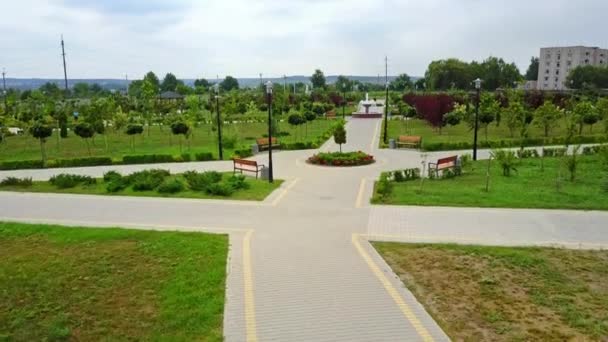 Geteerte Wege Neu Angelegten Park Mit Jungen Bäumen Garten Zum — Stockvideo