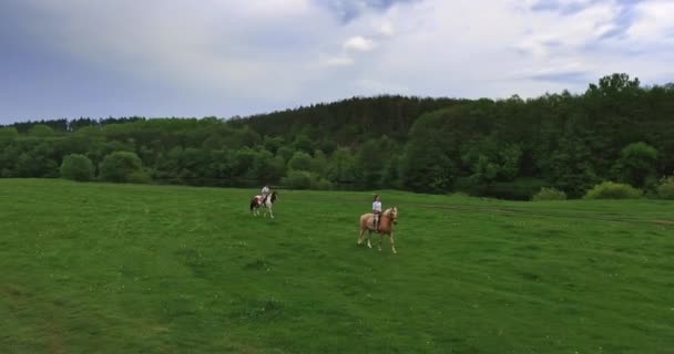 Man Woman Riding Horses Field Romantic Date Beautiful Nature Summer — Stock Video