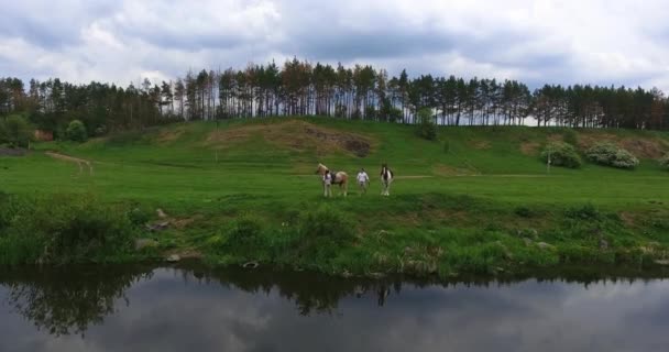 川岸に立っているカップルが馬を抱えている 夏の日に自然の中で素敵なデート 背景にある美しい牧草地と森 — ストック動画