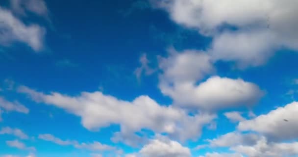 Fantástico Cielo Azul Con Nubes Blancas Volando Rápidamente Cielo Verano — Vídeos de Stock