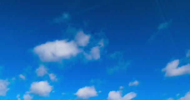 Kék Nyári Lágy Fehér Felhőkkel Amik Gyorsan Lebegnek Alacsony Látószögű — Stock videók
