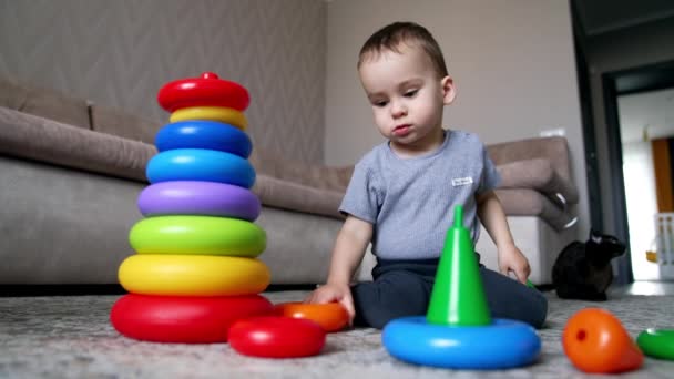 Białe Dziecko Kolekcjonuje Kolorowe Pierścienie Piramidy Zabawek Dziecko Uczy Się — Wideo stockowe