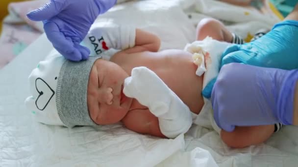Очаровательный Новорожденный Ребенок Роддоме Педиатр Слушает Сердцебиение Младенца Медсестры Заботятся — стоковое видео