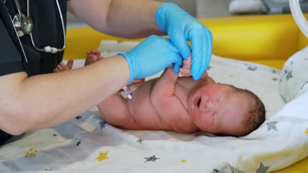 Nacktes Neugeborenes Schreit Während Der Arzt Untersucht Untersuchung Beim Neonatologen — Stockvideo