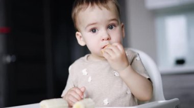 Tatlı düşünceli erkek bebek kurabiye yiyor. Çocuk sandalyede oturuyor ve her parçayı yavaş yavaş tadıyor. Kapat..