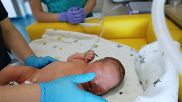 Neonatologi Tak Dikenal Menyentuh Wajah Bayi Yang Baru Lahir Anak — Stok Video