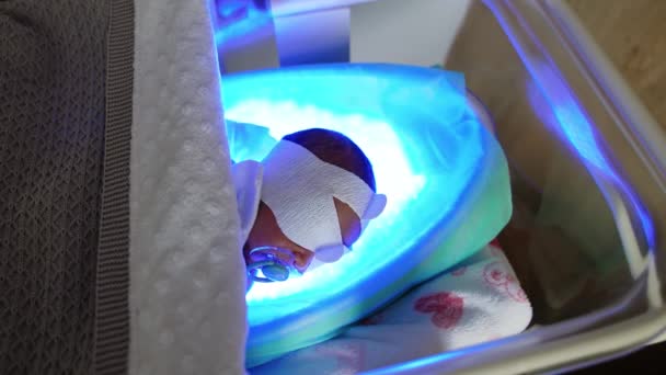 在妇产医院对新生儿进行黄疸治疗 小宝宝躺在紫外线灯上 — 图库视频影像