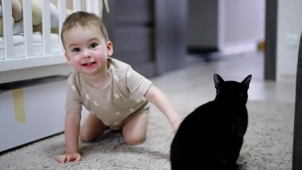 Adorable Boy Sitting Floor Petting Black Cat Beautiful Baby Looks — Stock Video