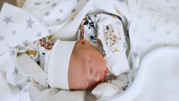 Das Engelsgleiche Neugeborene Schläft Friedlich Den Decken Liebenswertes Kaukasisches Kleinkind — Stockvideo