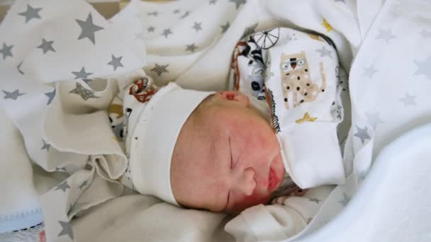 Precioso Bebé Recién Nacido Lindo Durmiendo Pacíficamente Cubierto Mantas Pocos — Vídeos de Stock