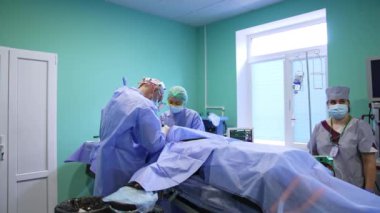 Doktorlar yüz ameliyatı yaparlar. Göz kapağı operasyonu yapan profesyoneller. Hemşire tezgahı kontrol ediyor..