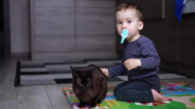 Ağzında emzik olan küçük çocuk yerde oturuyor. Bebek, siyah bir evcil kediyle oynuyor kuyruğundan çekiyor..