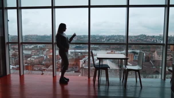 Schwangere Steht Panoramafenster Und Blickt Nachdenklich Dorthin Lady Berührt Vorsichtig — Stockvideo