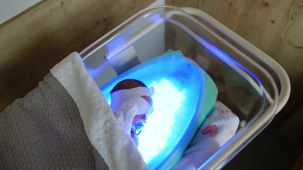 新生儿的高胆红素治疗 小小的婴儿躺在铺有毯子的婴儿床里的紫外线灯上 顶部视图 — 图库视频影像