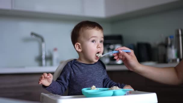Den Förtjusande Lilla Pojken Får Mat Från Skeden Mamma Vill — Stockvideo