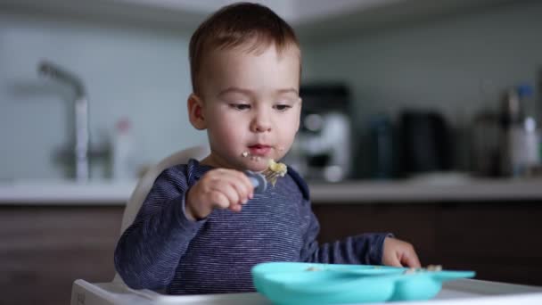 Sevimli Beyaz Çocuk Çataldan Yemek Yemeyi Öğreniyor Çocuk Mutfakta Yüksek — Stok video