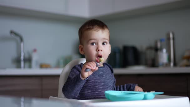 Enfant Caucasien Apprenant Utiliser Formulaire Beau Petit Garçon Mangeant Assis — Video