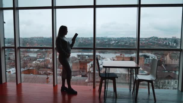 Gravid Kvinna Står Nära Stora Fönster Fokuserad Bok Handen Långhåriga — Stockvideo