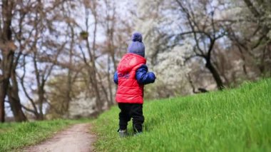 Küçük çocuk çimlerin üzerinde istikrarsız bir şekilde yürüyor. Anne ve oğlu baharda doğada yürüyorlar..