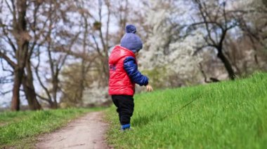 Küçük oğlan çimlerin üzerinde boynunu sallıyor. Küçük çocuk çubuğu düşürdü ve onu almaya gitti. Güneşli bahar arkaplanı.