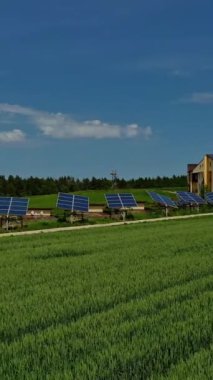 Fotovoltaik güneş panelleri doğanın arka planında. Yeşil alanda yol boyunca mavi güneşli bataryalar. Sürdürülebilir temiz enerji kaynağı. Dikey video