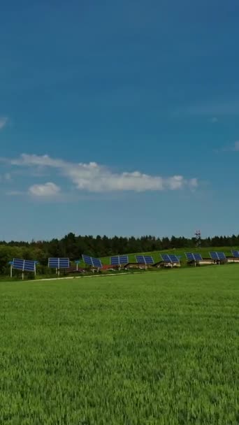 战场上创新的太阳能电池板 农业景观在春天和光伏太阳能电池从太阳接收绿色能源 生态电力 垂直录像 — 图库视频影像