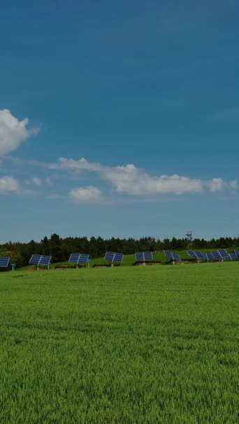 Champ Agricole Vert Batteries Solaires Photovoltaïques Dans Nature Les Cellules — Video