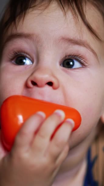 美しい甘い子供は口に玩具を持っている彼の腹の上に横たわっています おかしい赤ん坊は彼の歯茎を傷つけるために玩具を噛む クローズアップ バーティカルビデオ — ストック動画
