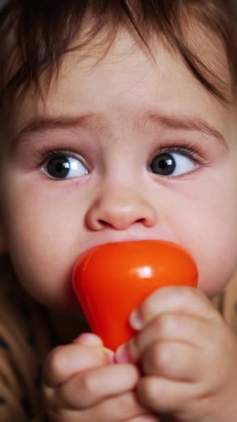 Beautiful Dark Haired Caucasian Child Chewing Bright Toy Cute Baby — Stock Video