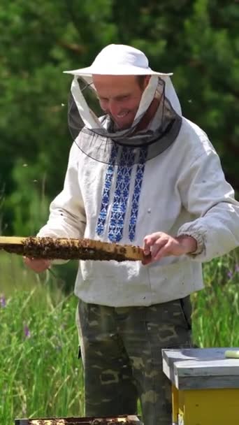 Beekeeper Examining Honeycomb Frame Happy Apiarist Looks Bee Frame Full — Stock Video