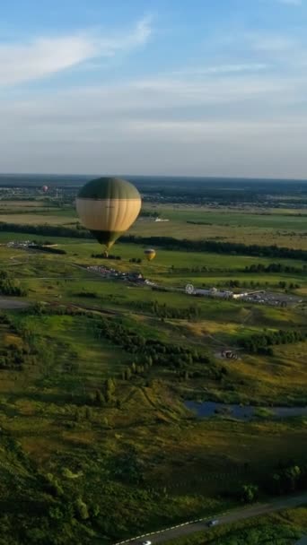 自然の中でカラフルなエアロスト 熱気球は田舎の畑や湖の上空を飛んでいる 空からの眺め バーティカルビデオ — ストック動画