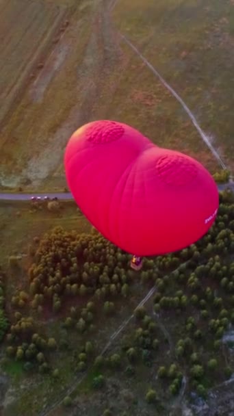 Czerwony Aerostat Nad Polami Romantyczny Balon Gorące Powietrze Postaci Serca — Wideo stockowe