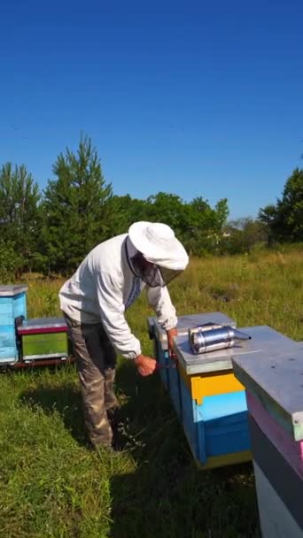 養蜂家は蜂を検査する 産業用パイプのバックグラウンドにあるミツバチ農場の手工夫 緑の草の上に木製の巣 バーティカルビデオ — ストック動画