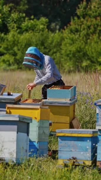 여름에 키퍼는 사이에 농장에서 작동합니다 꿀벌에 파란색과 노란색 하이브 비디오 — 비디오
