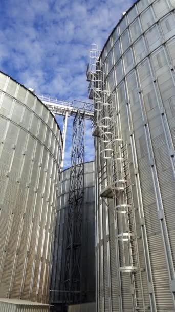 アルミグレインエレベーター 収穫を保存するための農業機器 現代の倉庫 晴れた日のグラナリー クローズアップ バーティカルビデオ — ストック動画