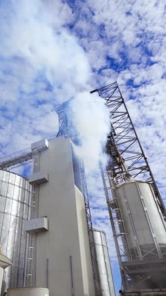 穀物貯蔵のための現代工場 工場からの大量の煙 穀物を乾燥させるための大きな銀の容器 環境汚染 バーティカルビデオ — ストック動画