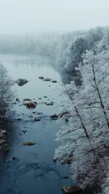 Kışın güzel doğa. Nehrin üzerindeki hava manzarası karlı ağaçların arasında akıyor. Beyaz ağaçların ve sığ nehirlerin inanılmaz manzarası. Dikey video